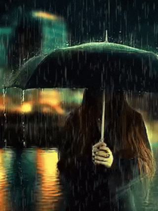 99541_98377_1000003050_-_Copy.gif